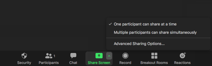 Zoom Share Screen options